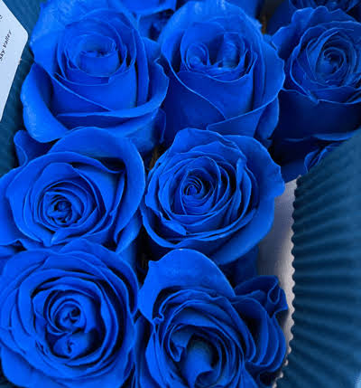 Rosa Tinturada Azul