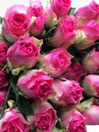 Ramo de rosas Rosa Malibú de My Store 3 en color rosa intenso, ideales para arreglos florales y decoración.